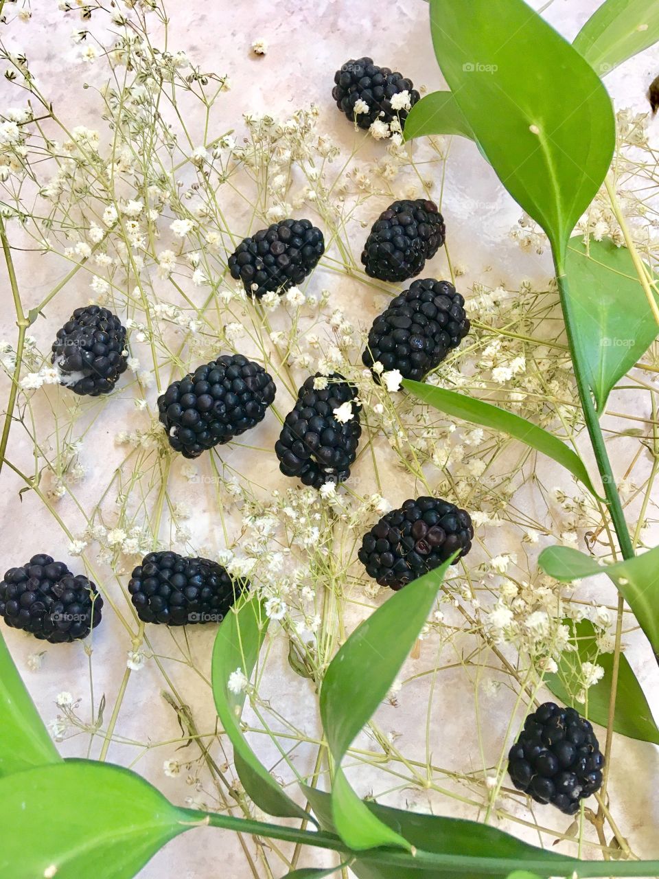 Blackberries