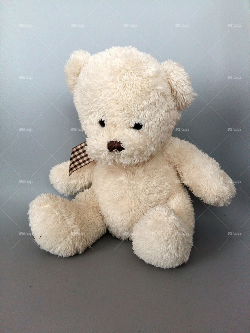 Teddy bear sitting on grey background