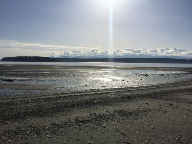 Sun on the Beach . Sunny Beachy Day 