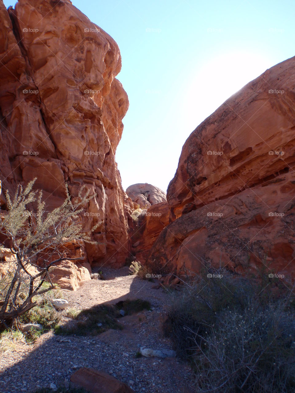 Desert narrows 