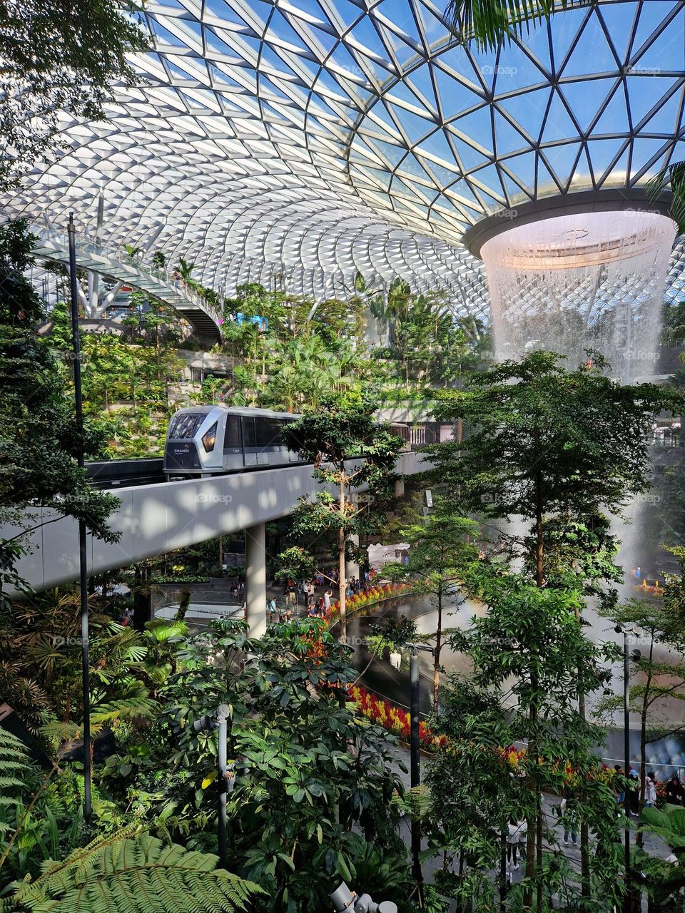 Singapore Airport train