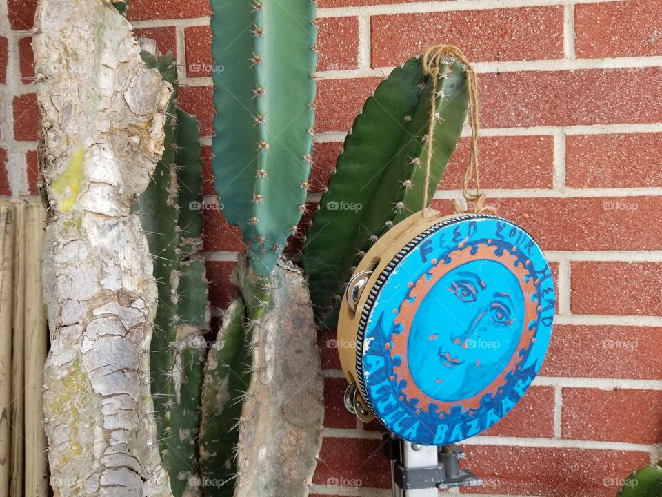 Rustic Bright Hippie Musical tambourine instrument on cactus with brick wall background