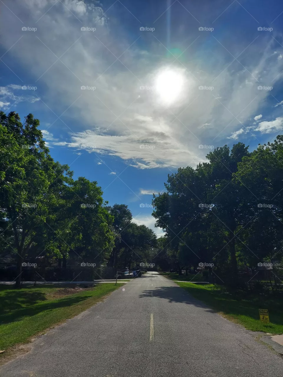 A Beautiful Sunny Day !