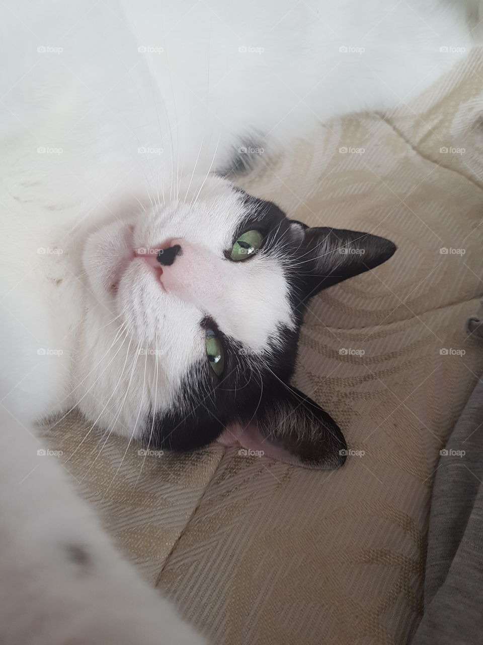 Charlie taking a selfie!! Say Cheese!!