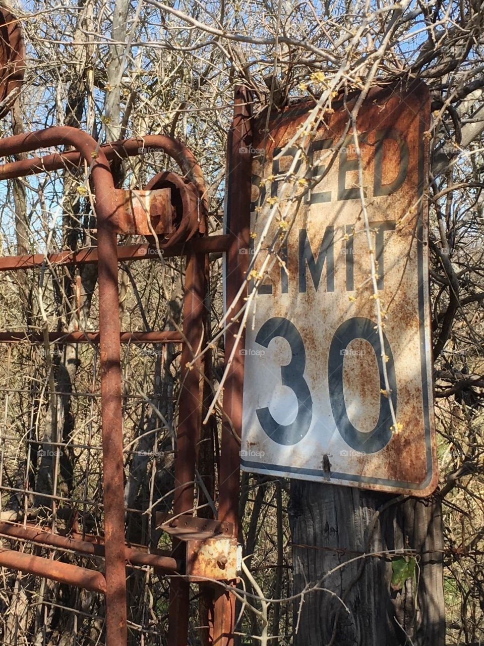 Old rusty gate and speed limit sign. 