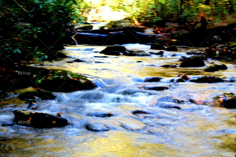 Stream in north georgia