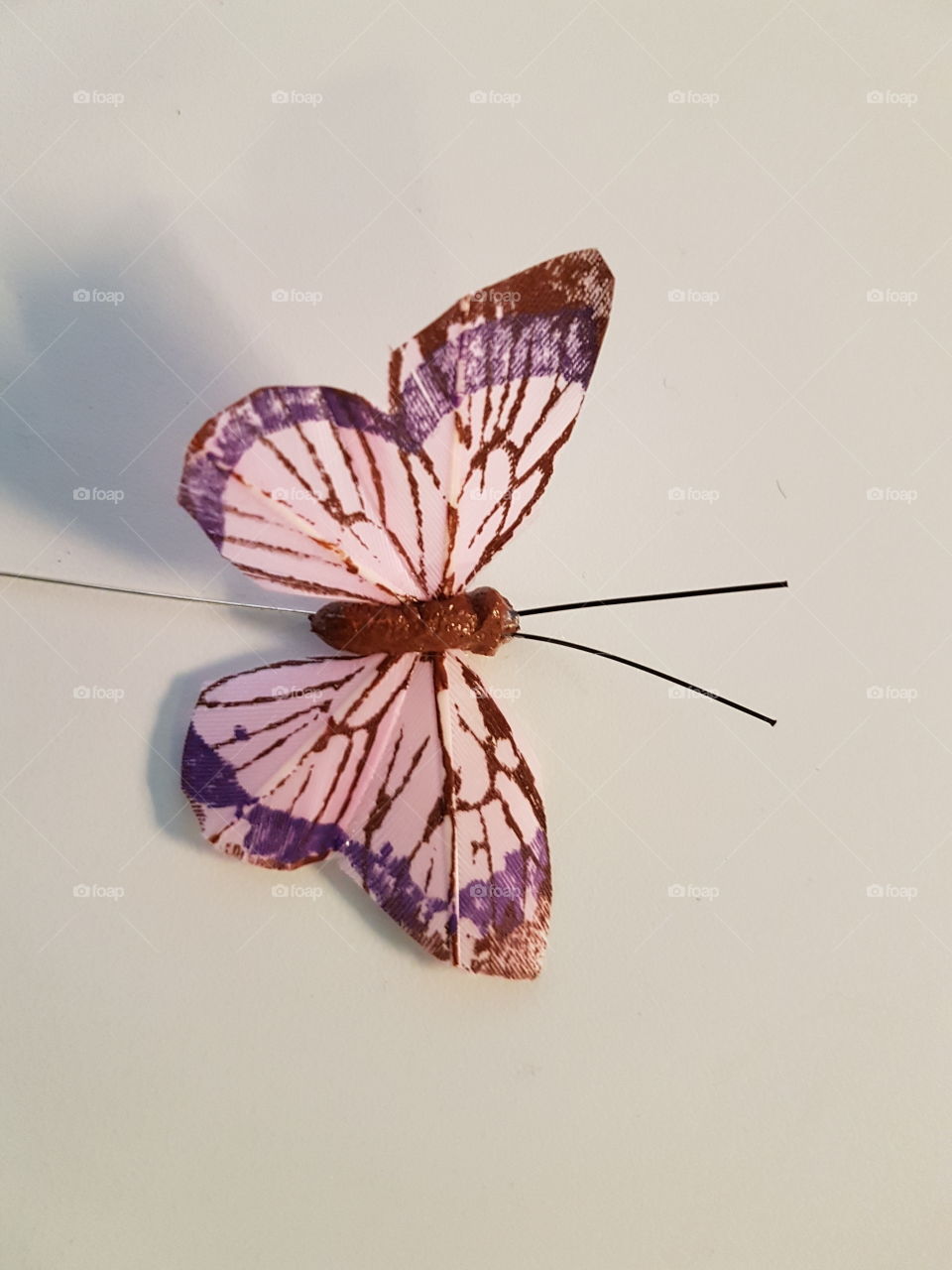 purple butterfly