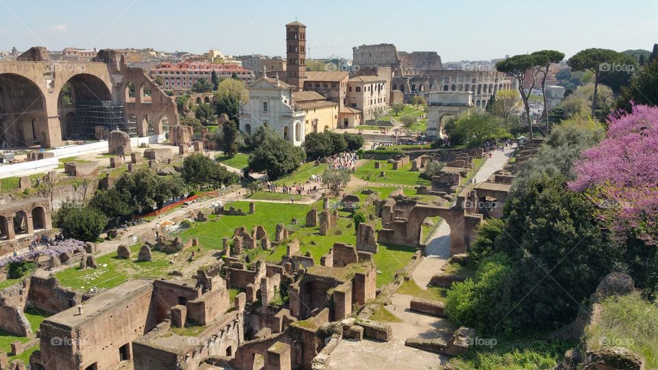 Roman gardens. colosseum. traveling around italy.  rome