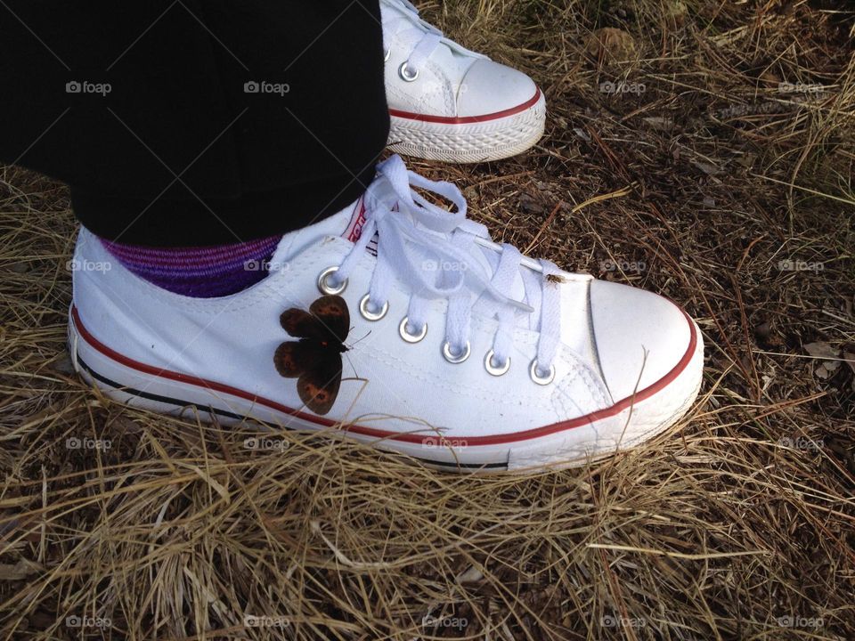 When you go for a hike and the butterfly likes your sneakers