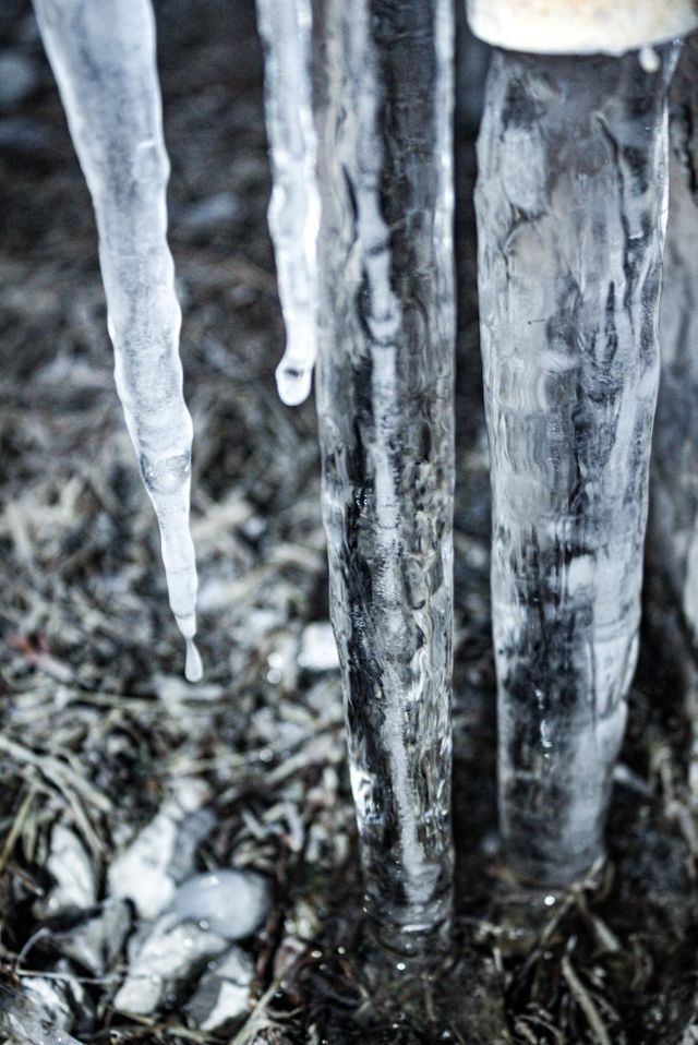 Frozen 