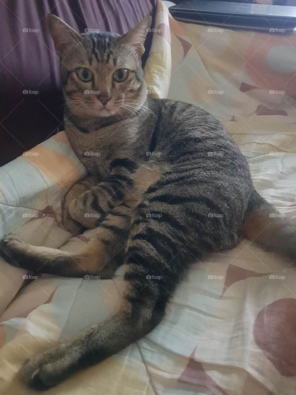 seductive and annoying