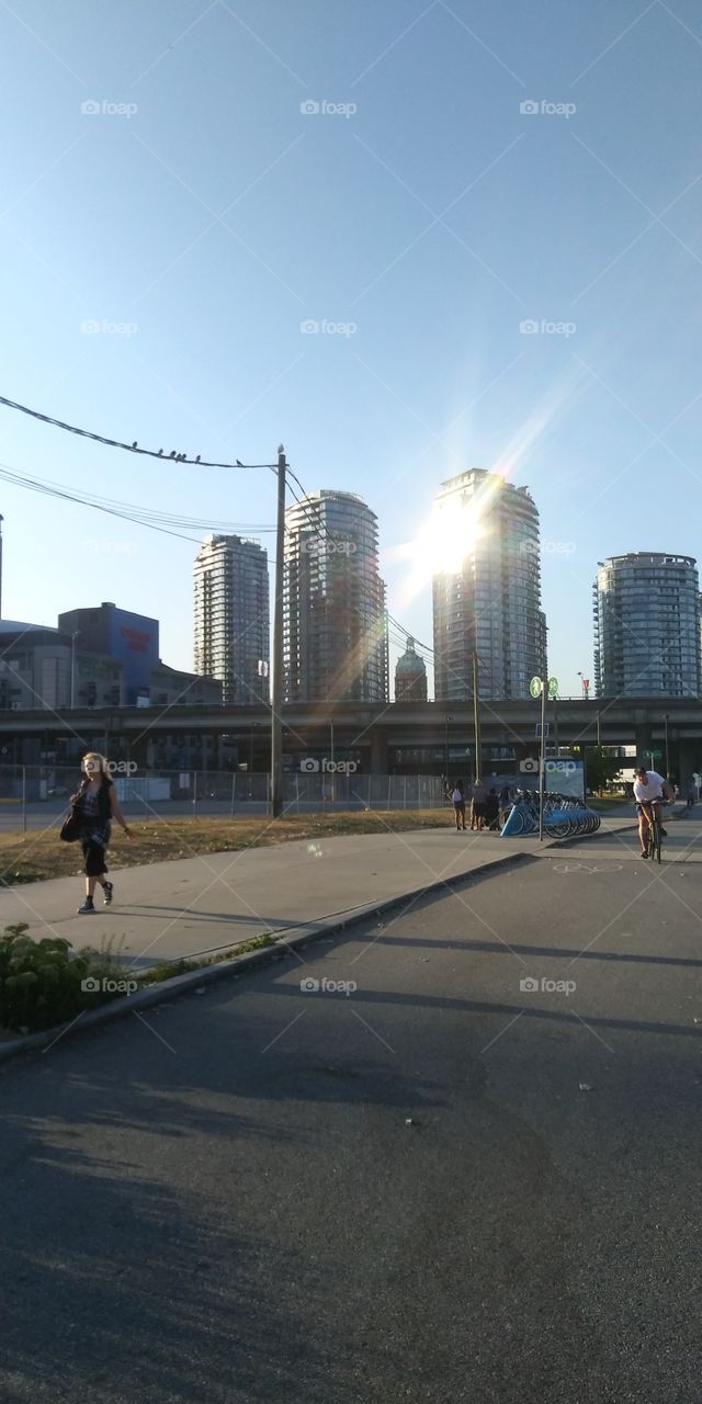 Clear Calm and Collective , What a sight