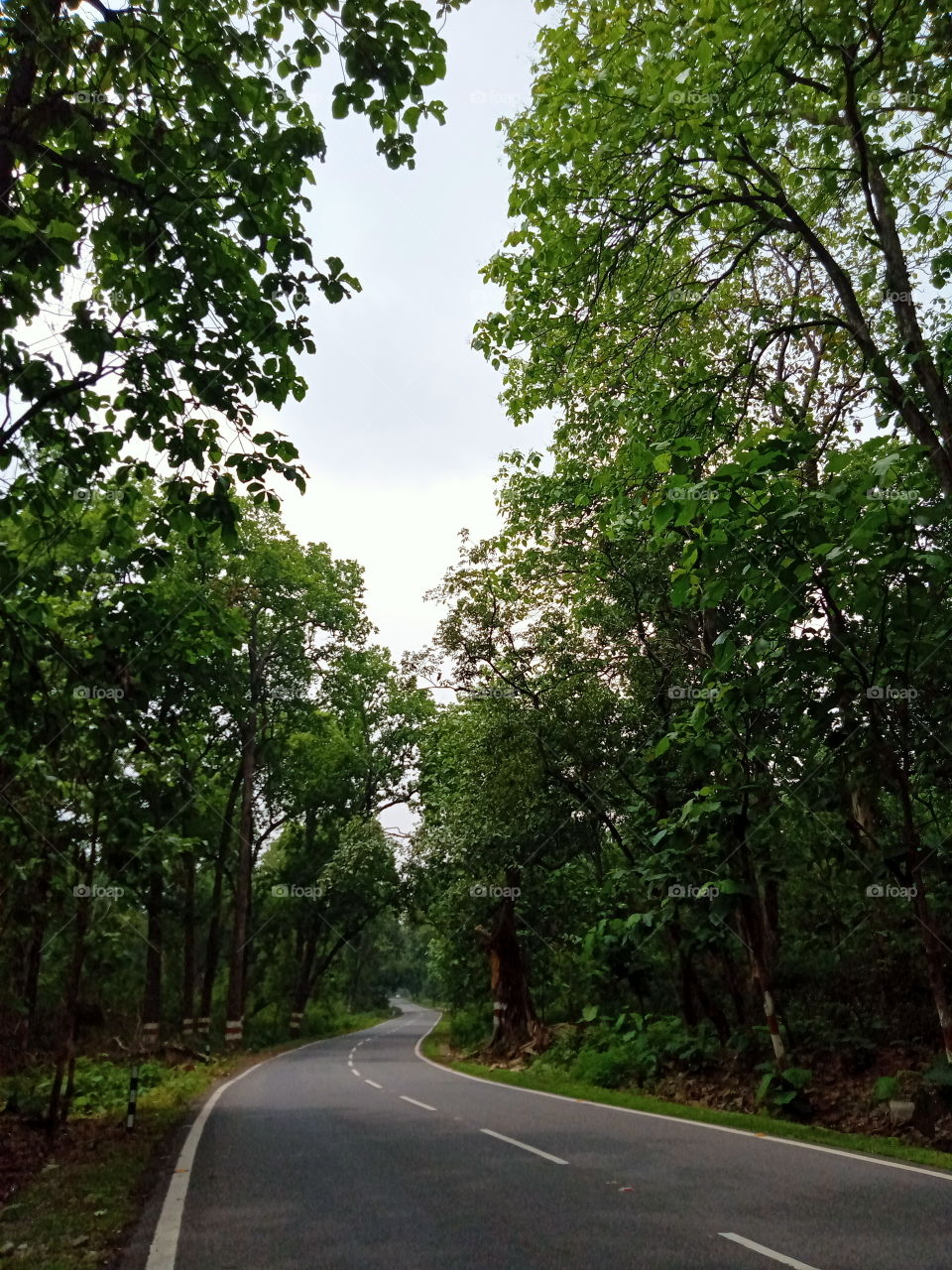 Go and forget yourself in nature