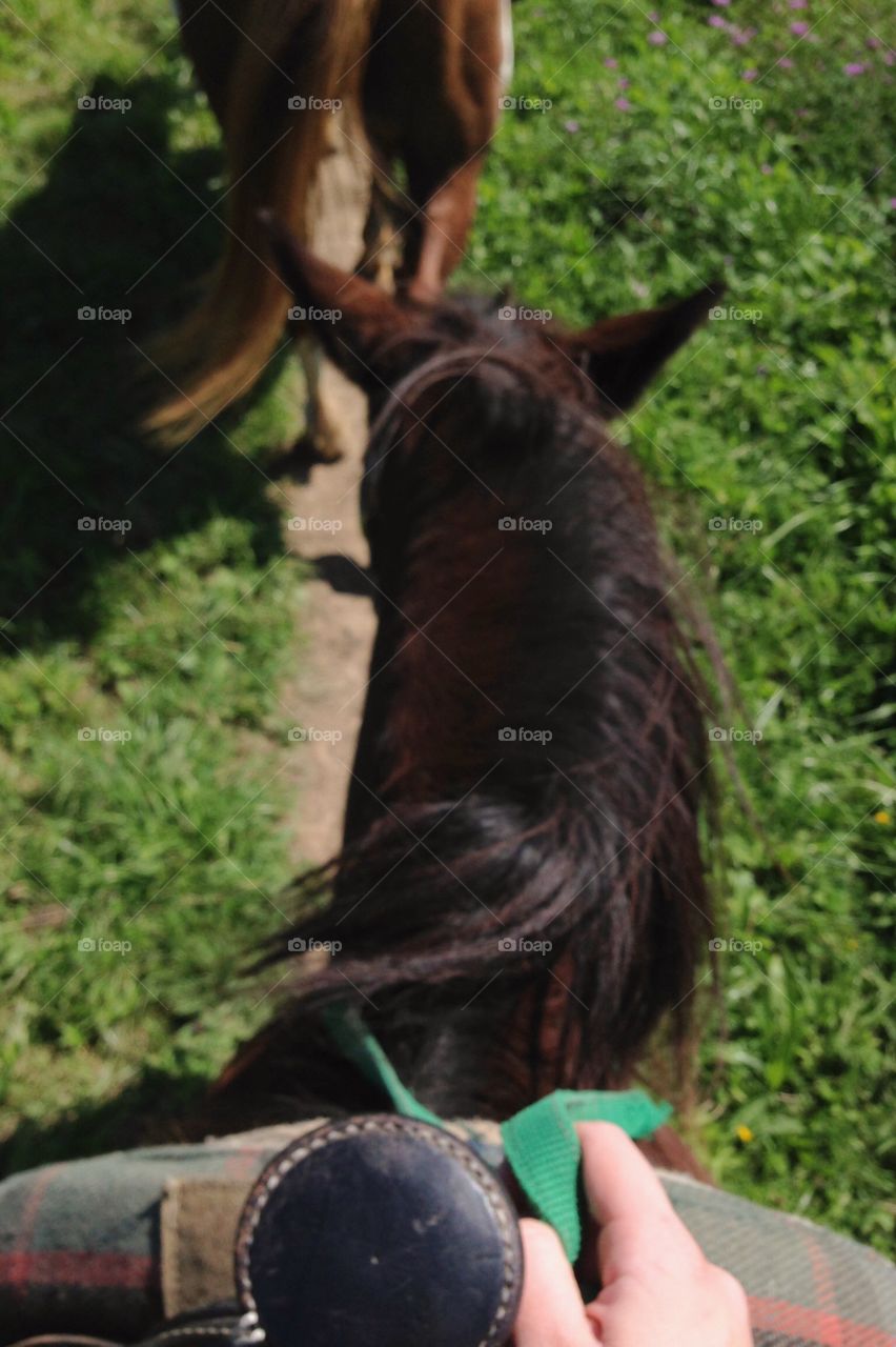 Afternoon horseback ride. 