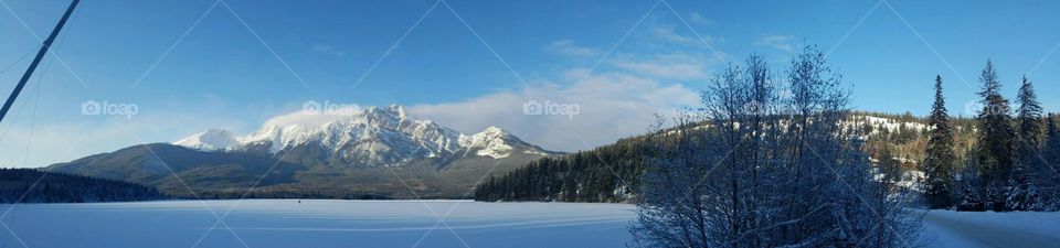 Beauty at its finest