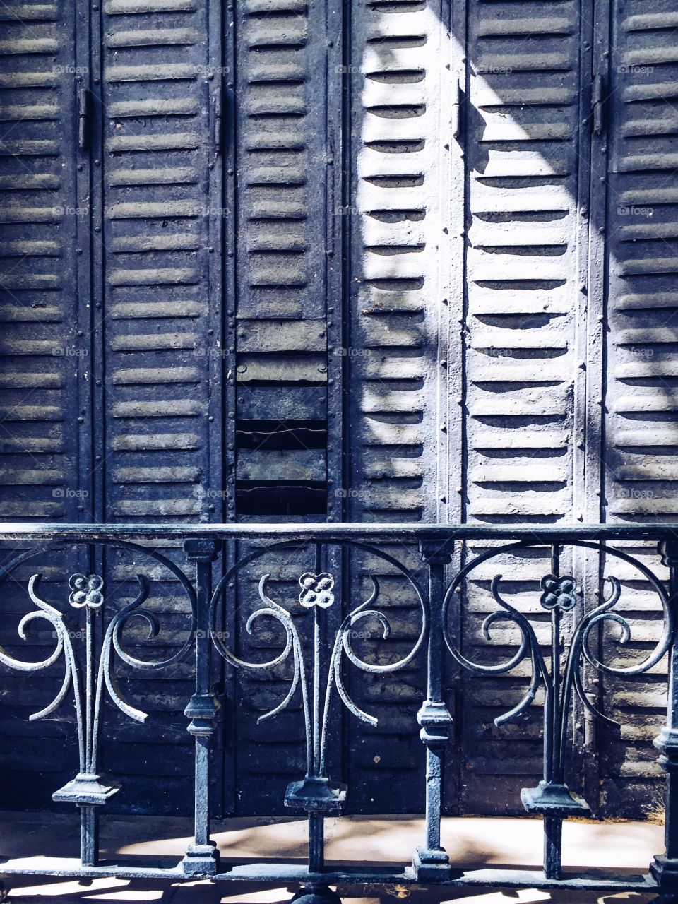 Shadow play on a screen door