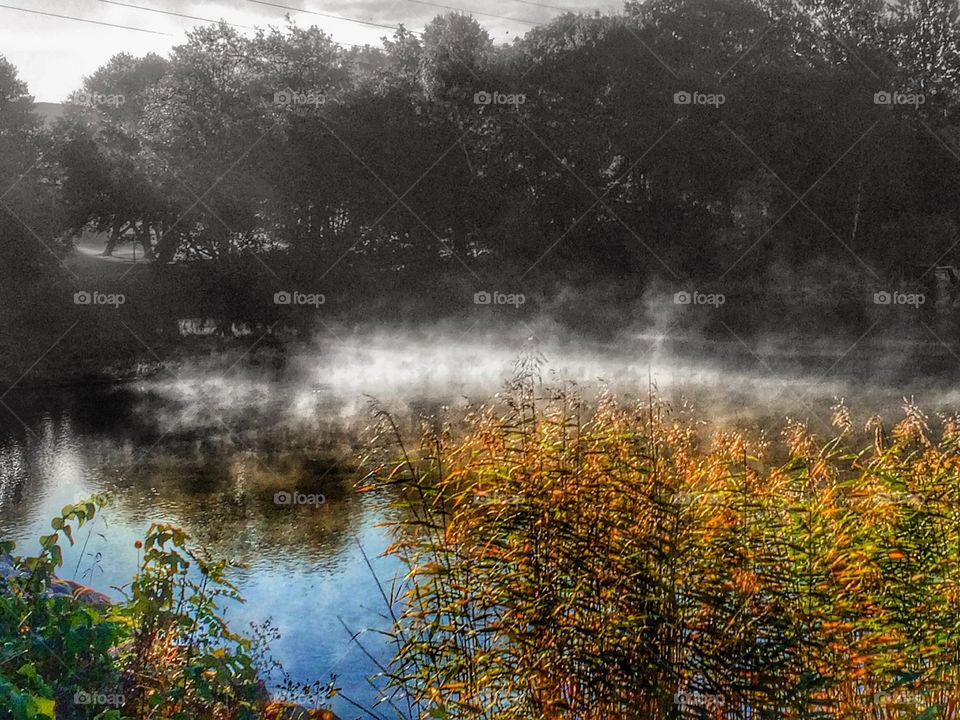 Misty fall morning