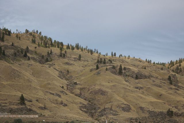 hill
