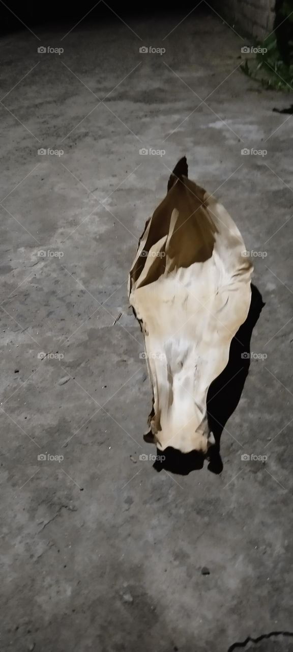 One portion of the tree.