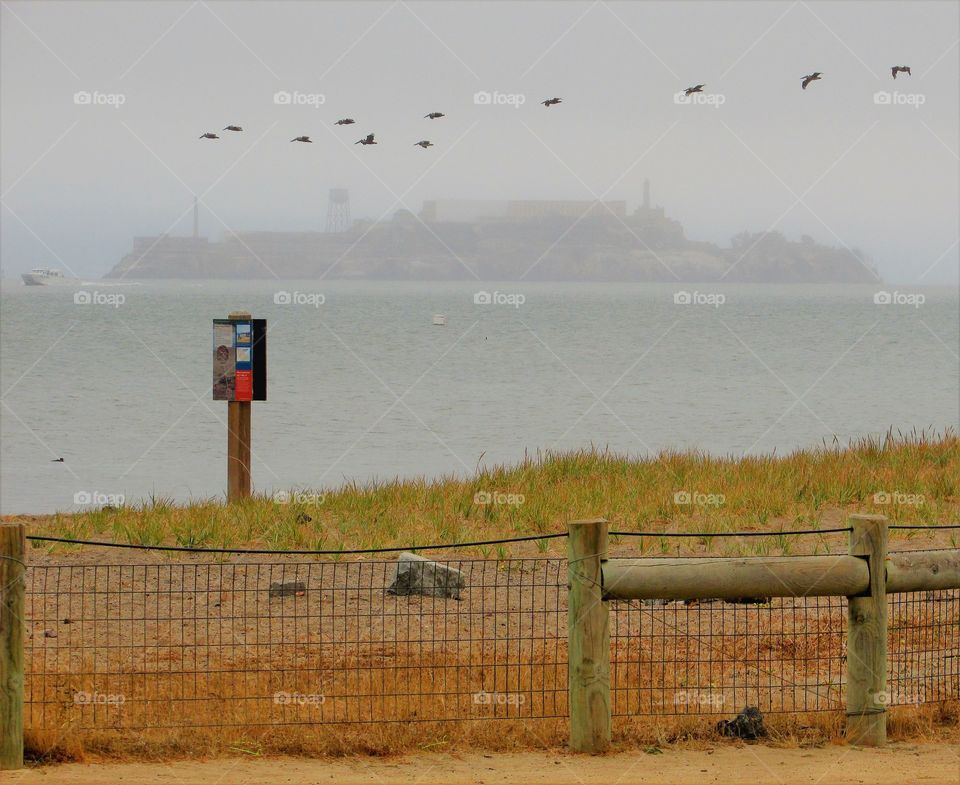 Alcatraz, San Francisco Bay