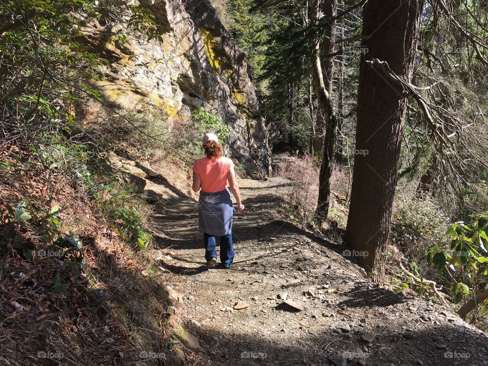 Hiking in Gatlinburg 