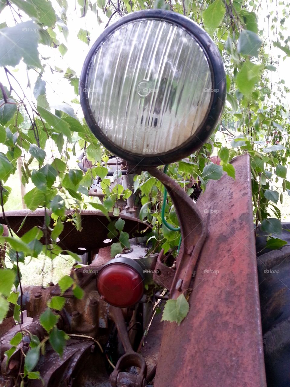 Vintage Ferguson tractor

