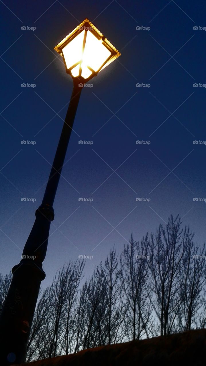 Lamp with distant trees