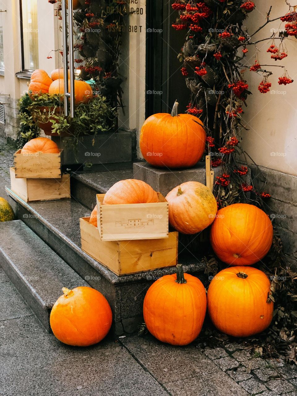 Orange pumpkins on the street 