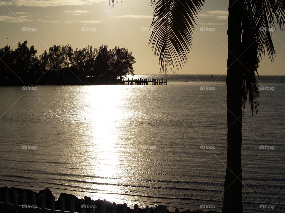 Dusk in Florida 