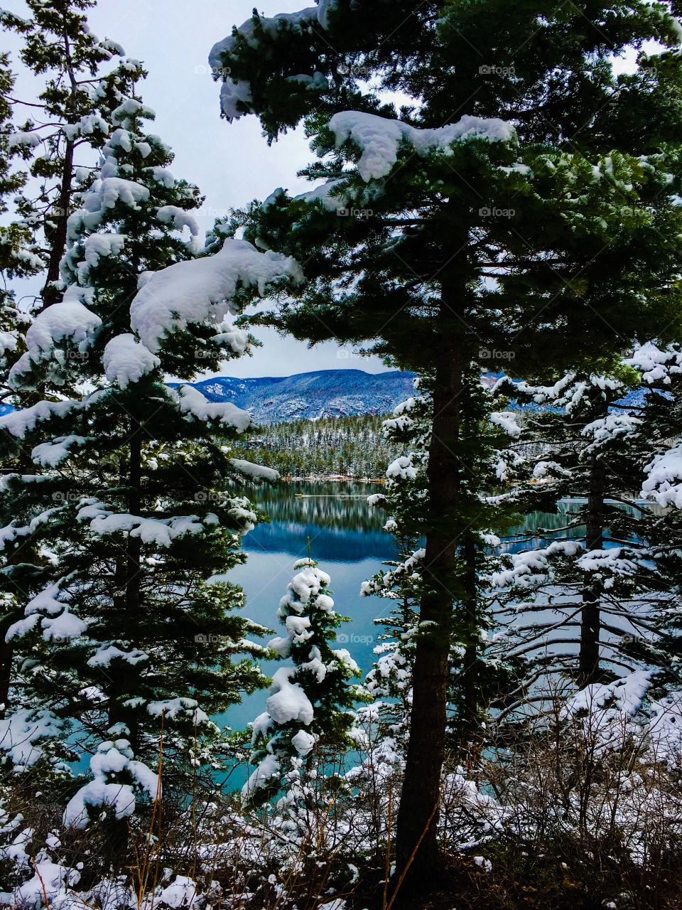 Mountain lake in winter