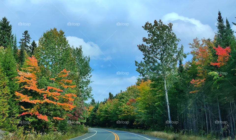 road in autumn