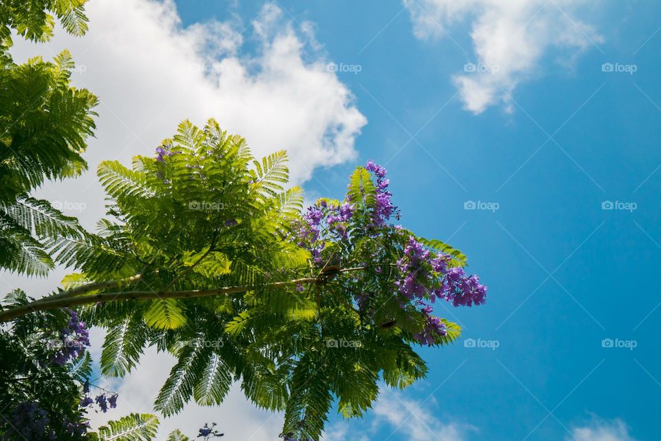 beautiful, I want to sell this