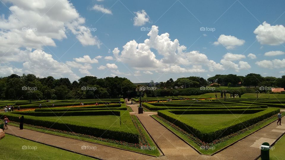 Panoramic view garden. Brazil's garden