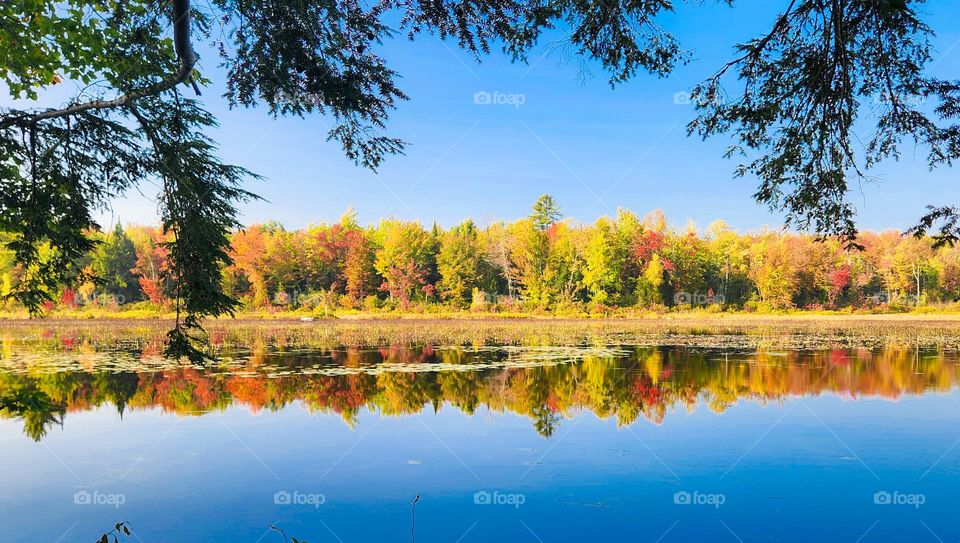 Fall on the Lake