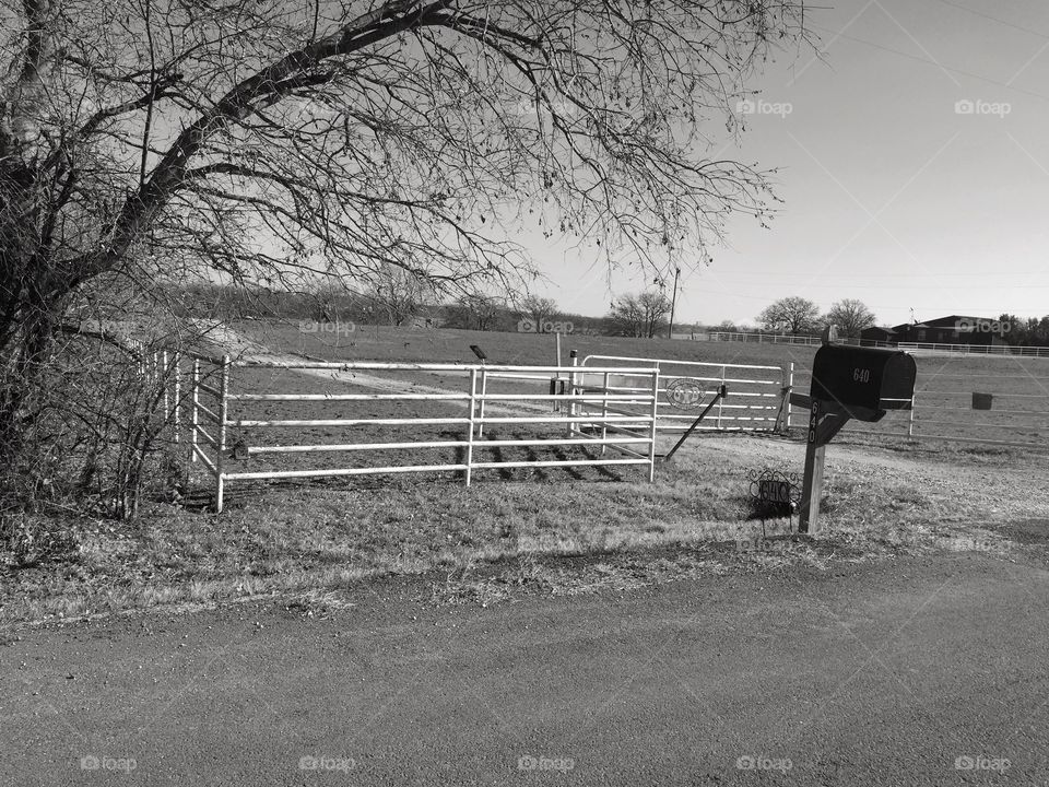 B&W, Black and white, world, country Road, farm, Dirt Rd., Little Elm, Texas, Denton, country living, simple, beautiful simplicity, creepy tree, Landscape, composition, nature, natural,