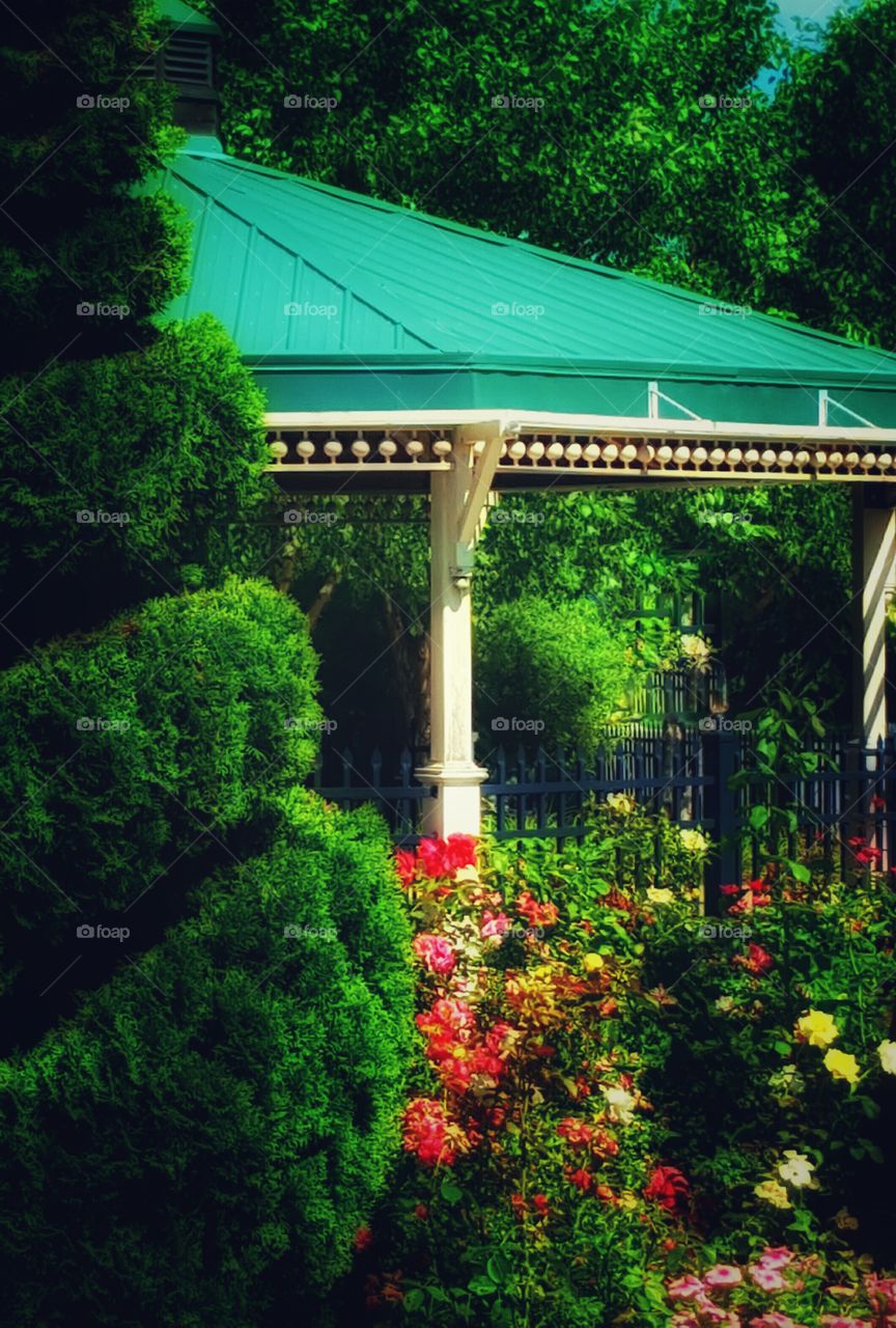 Gazebo in a garden
