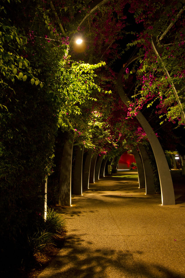 Foliage Walkway
