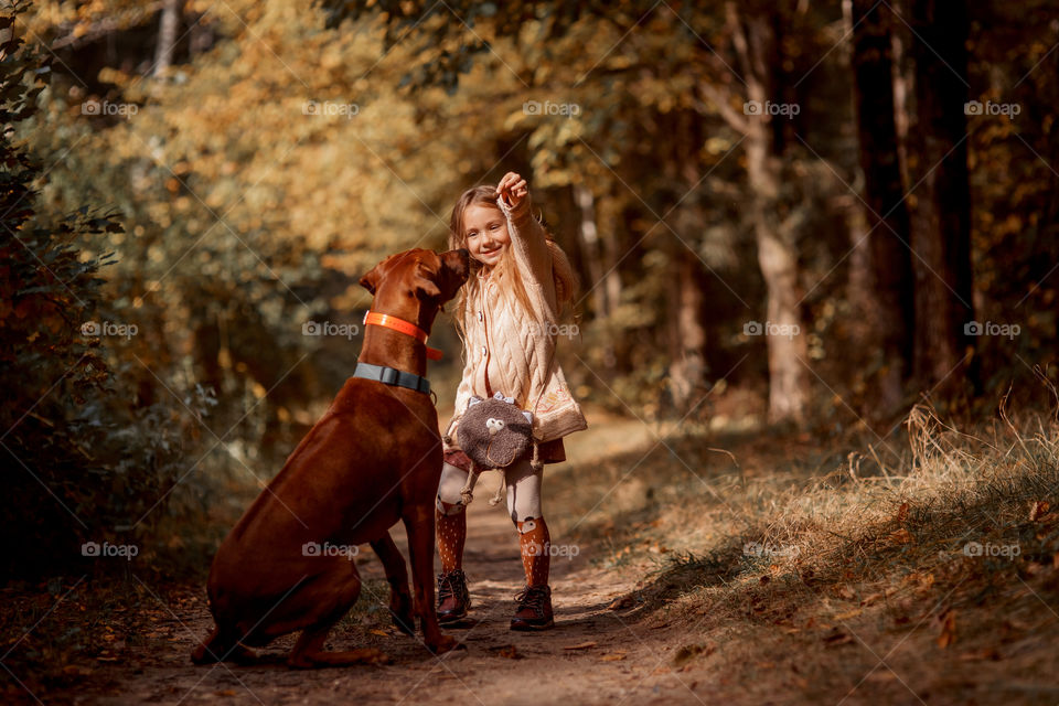 Little girl playing with dogs in an autumn park