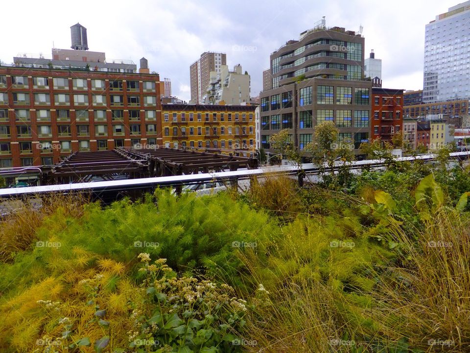 NEW YORK CITY HIGH LINE PARK THE GARDEN