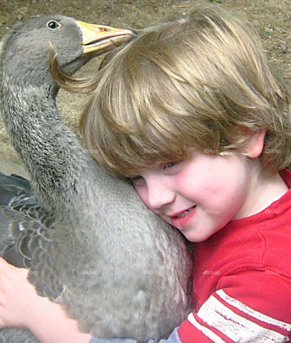 boy loving his goose