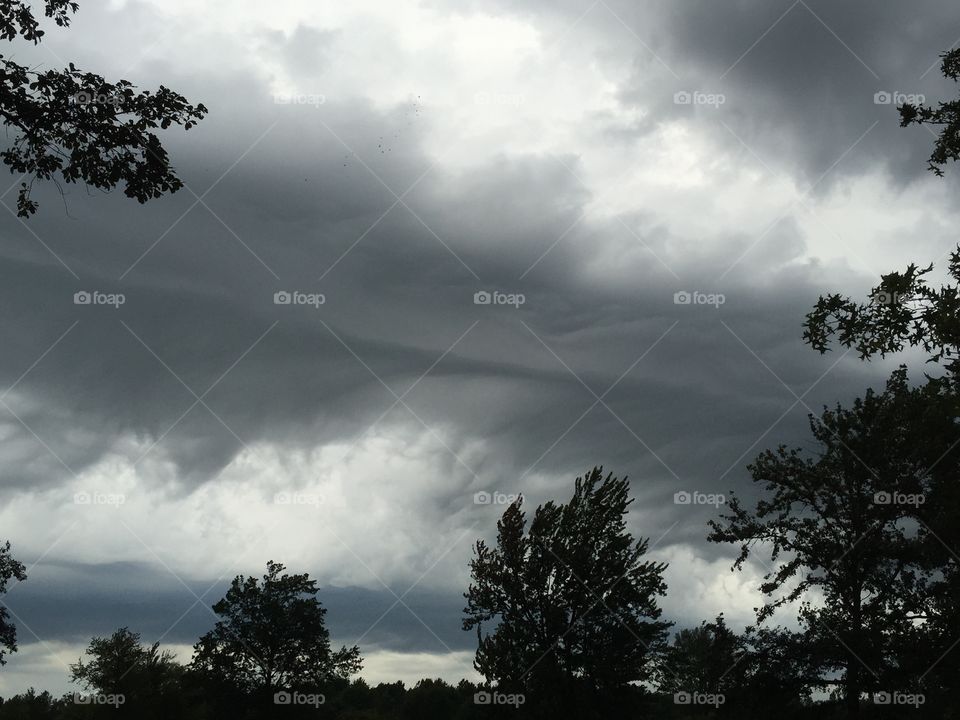 Shelf Cloud