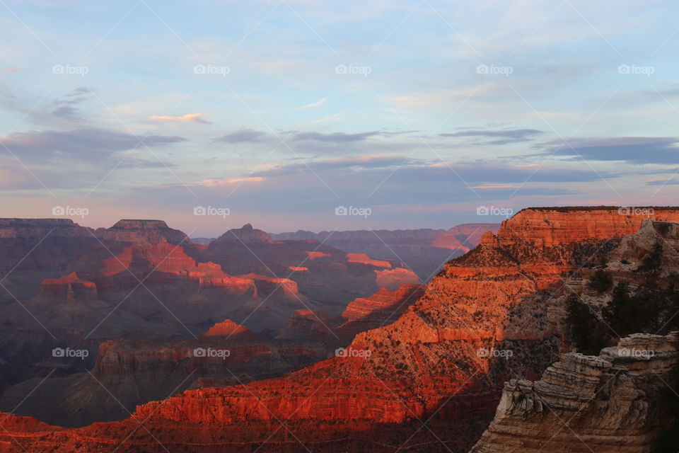 Warm, golden sunset brings out brilliant reds in the rocks of the Grand Canyon in April. 