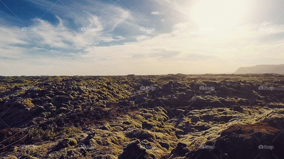 Icelandic desert