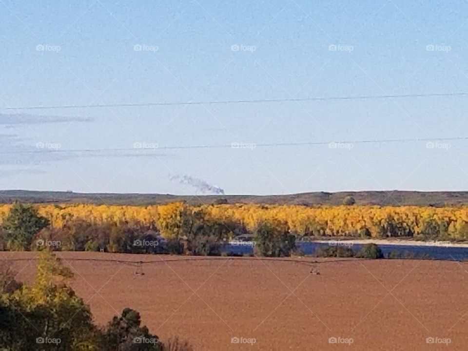 Landscape, Tree, No Person, Sky, Scenic