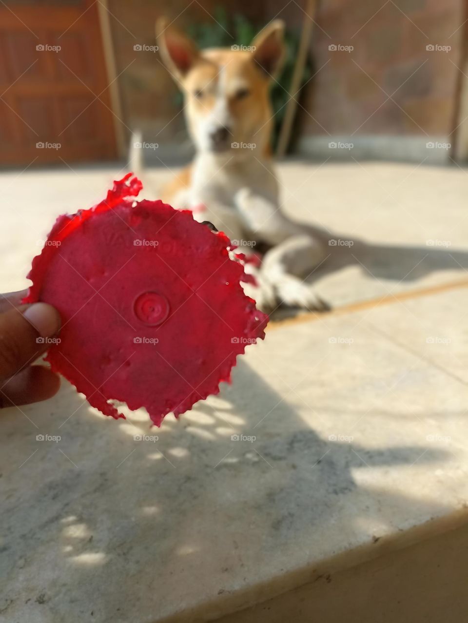 What business is this??