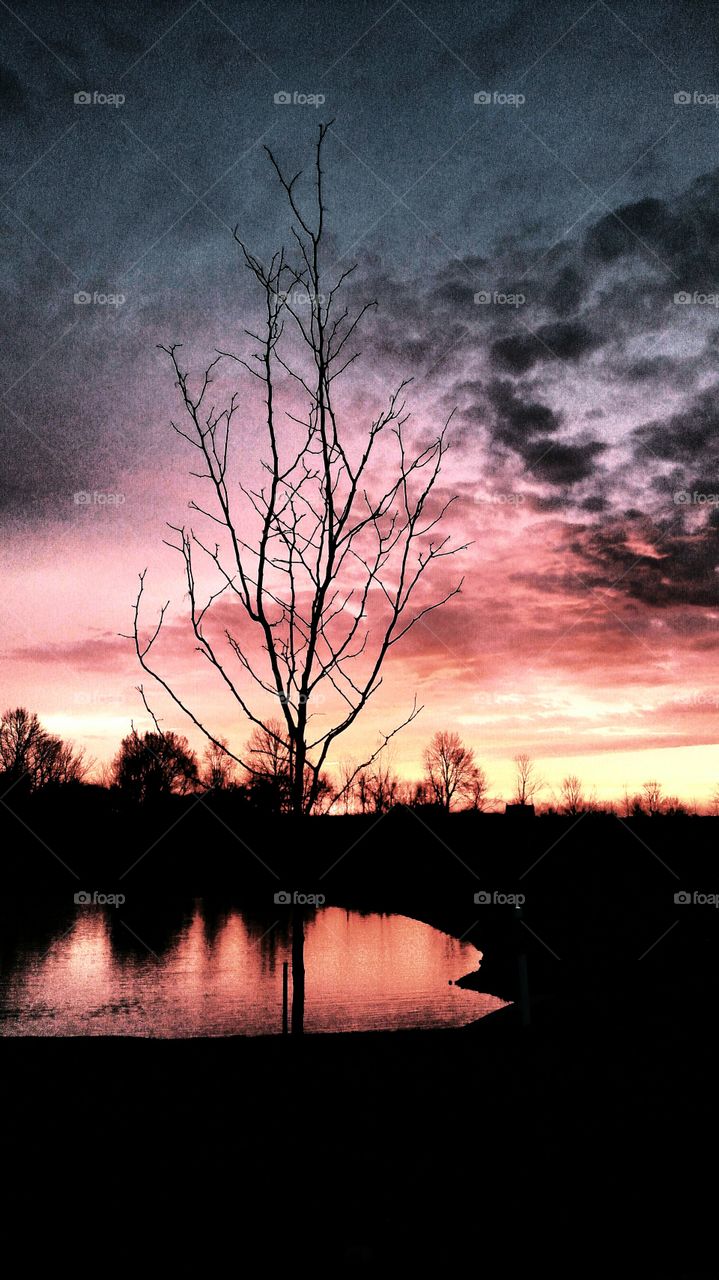 Sunset Dawn water trees sky nature