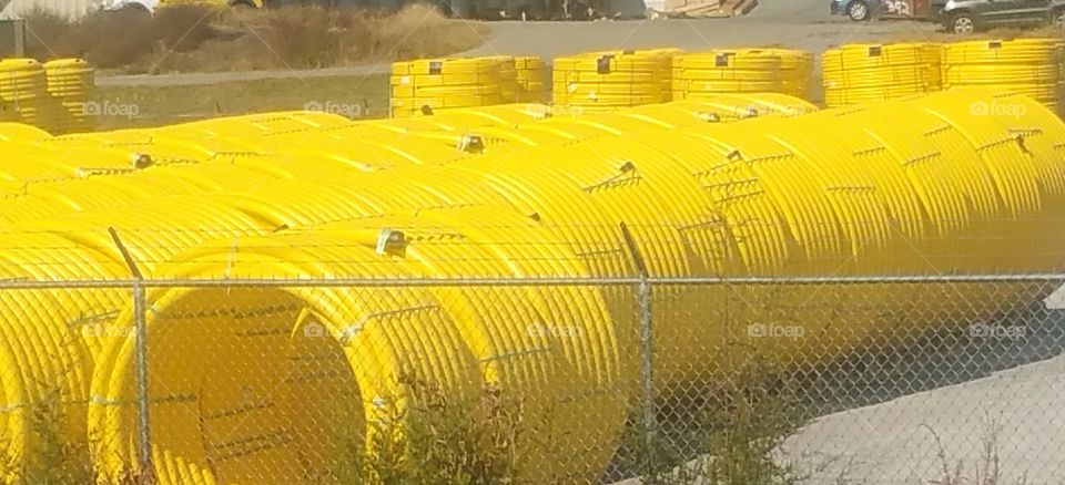Yellow Pipes