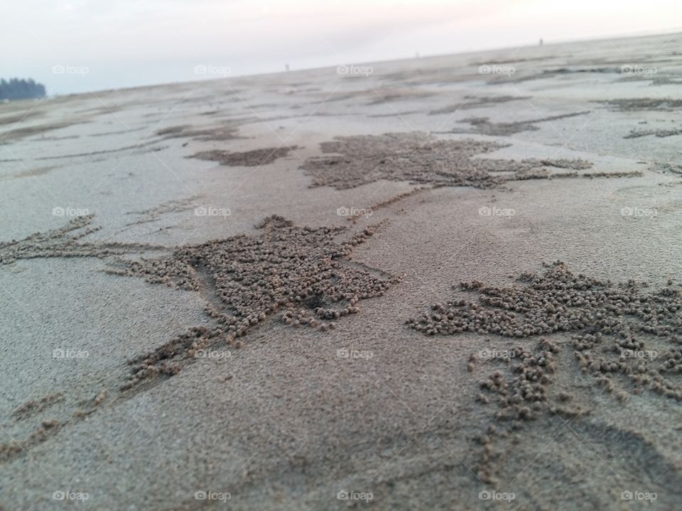 Starry- sand
#beachlife #beach #sand
