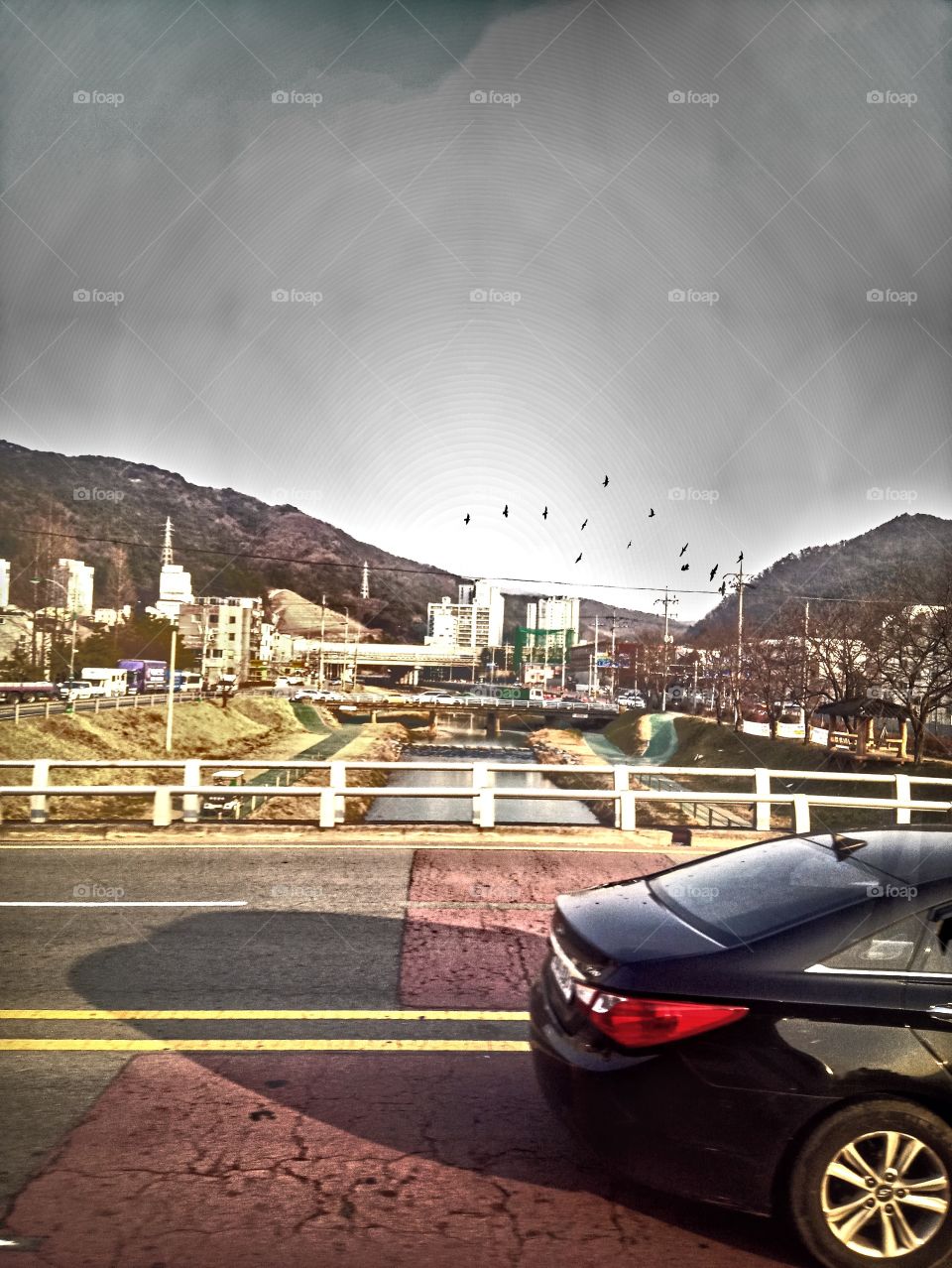 The group of birds flying above the river is the best sight that captured my heart for they are so free and happy and that is the things which i wish to have.