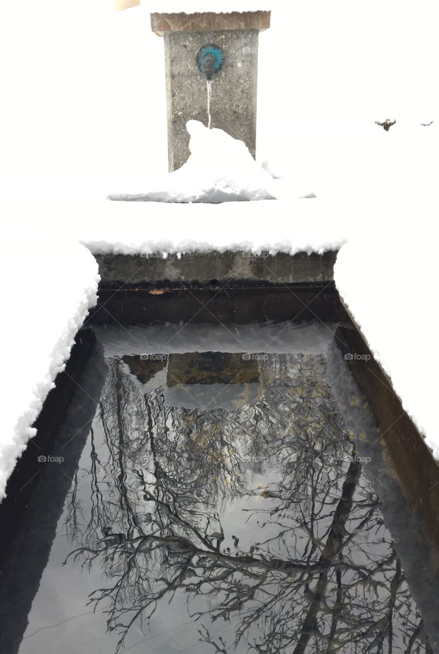 Reflections in Mountain Fountain